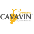 Cavavin